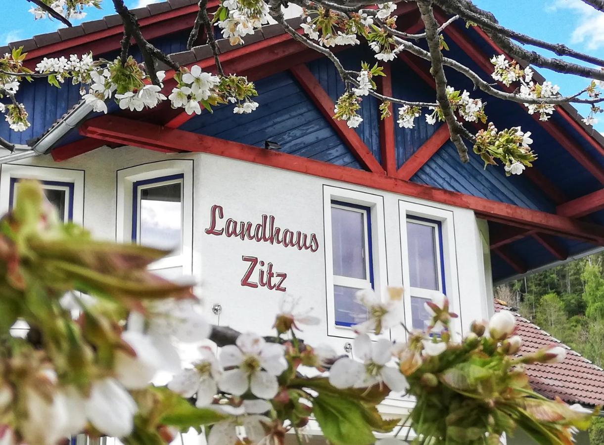 Landhaus Zitz Ranten Εξωτερικό φωτογραφία
